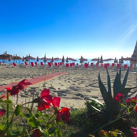 Hotel Silvi سيلفي مارينا المظهر الخارجي الصورة